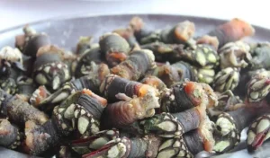 PERCEBES-ASTURIANOS-BAR-SUPERA